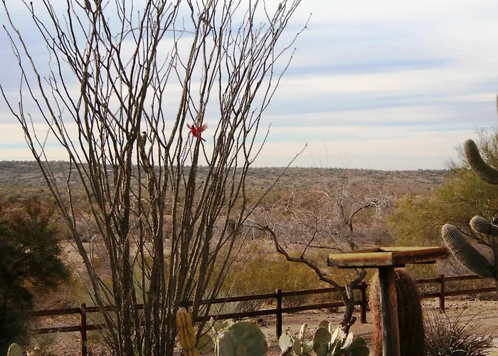Hotel Flying E Guest Ranch 3*