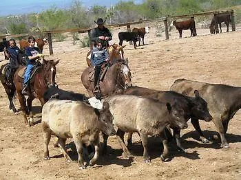 Hotel Flying E Guest Ranch