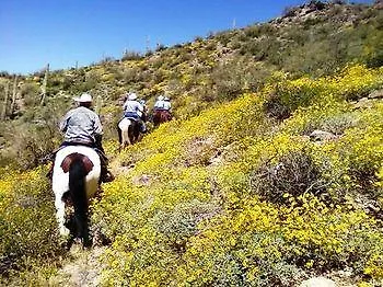 Hotel Flying E Guest Ranch