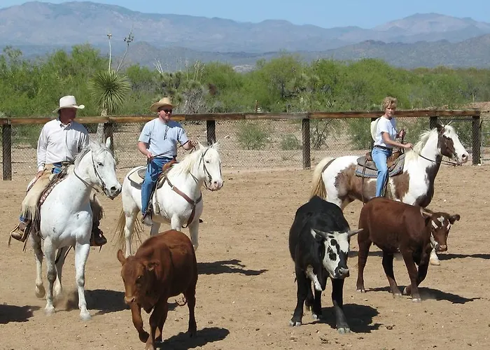 Flying E Guest Ranch Hotel Wickenburg