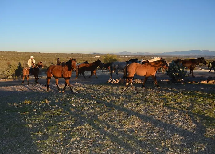 Flying E Guest Ranch Hotel