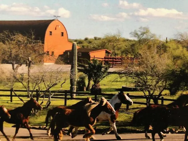 Flying E Guest Ranch Hotel 3*